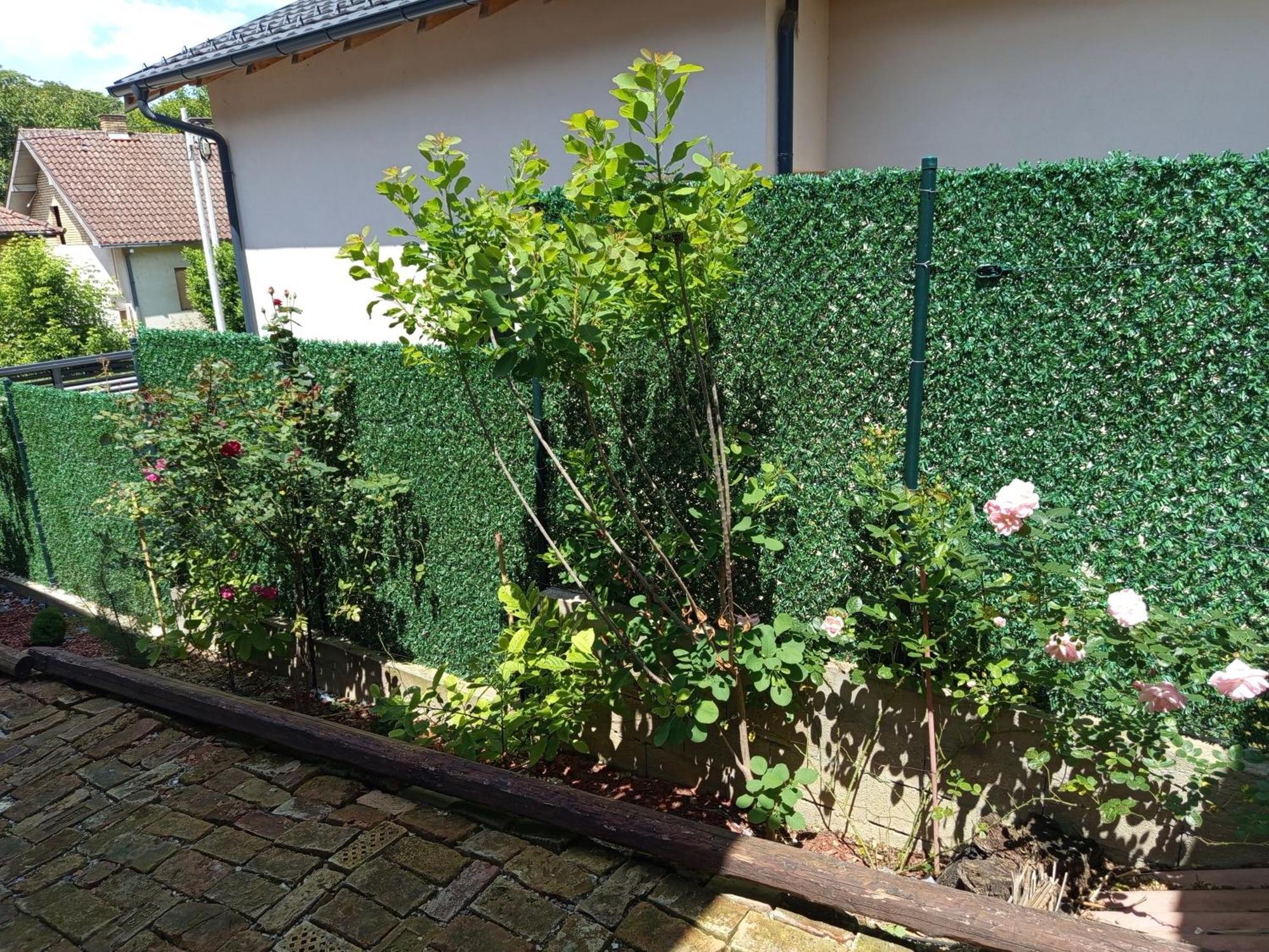 Kucica Za Odmor Lena I Matija Apartment เซรมสกี คาร์ลอฟซี ภายนอก รูปภาพ